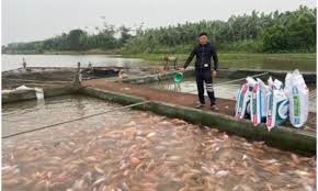 Chủ động công tác phòng, chống dịch bệnh cho động vật thủy sản